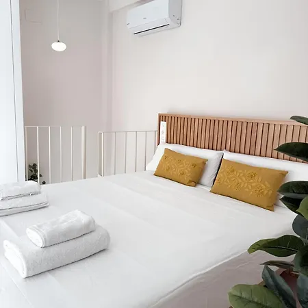 Monkeys Quintana C2 Apartment *